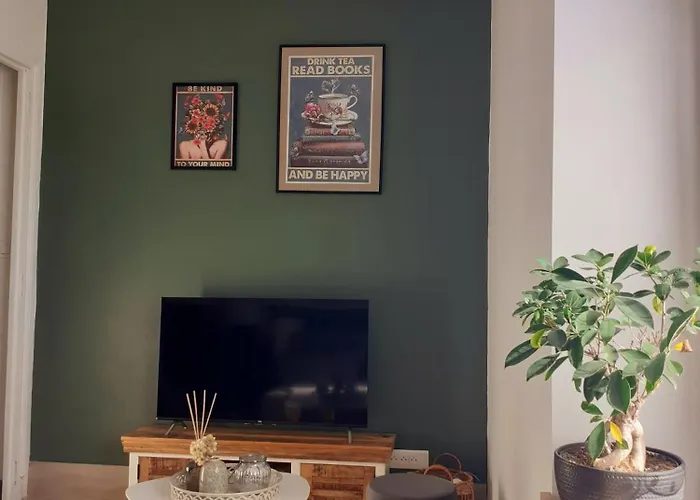 La Maison De Mona 3* Каркассон